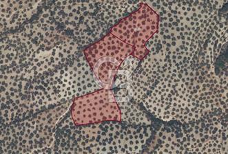 Kiralık Zeytinlik KazımKarabekir - 2 - 330954