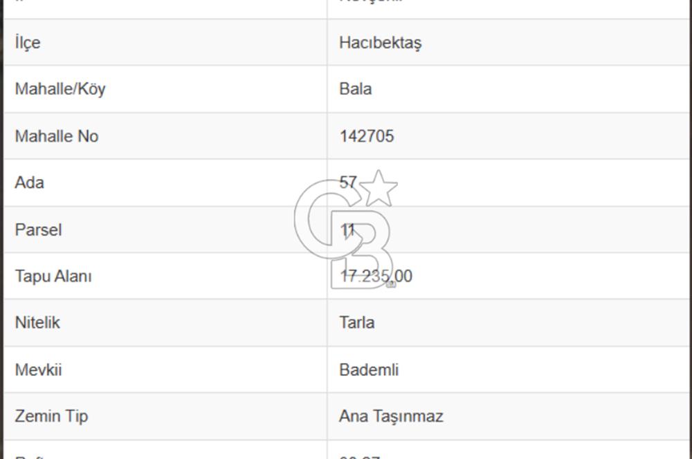 NEVŞEHİR-HACIBEKTAŞ'DA 17 DÖNÜM *İMARA YAKIN* SATILIK TARLA