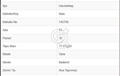 NEVŞEHİR-HACIBEKTAŞ'DA 17 DÖNÜM *İMARA YAKIN* SATILIK TARLA