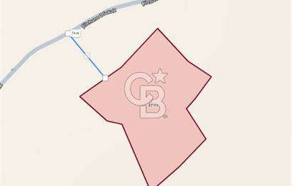 NEVŞEHİR-HACIBEKTAŞ'DA 17 DÖNÜM *İMARA YAKIN* SATILIK TARLA