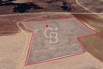 NEVŞEHİR-HACIBEKTAŞ'DA 17 DÖNÜM *İMARA YAKIN* SATILIK TARLA - 1 - 330989