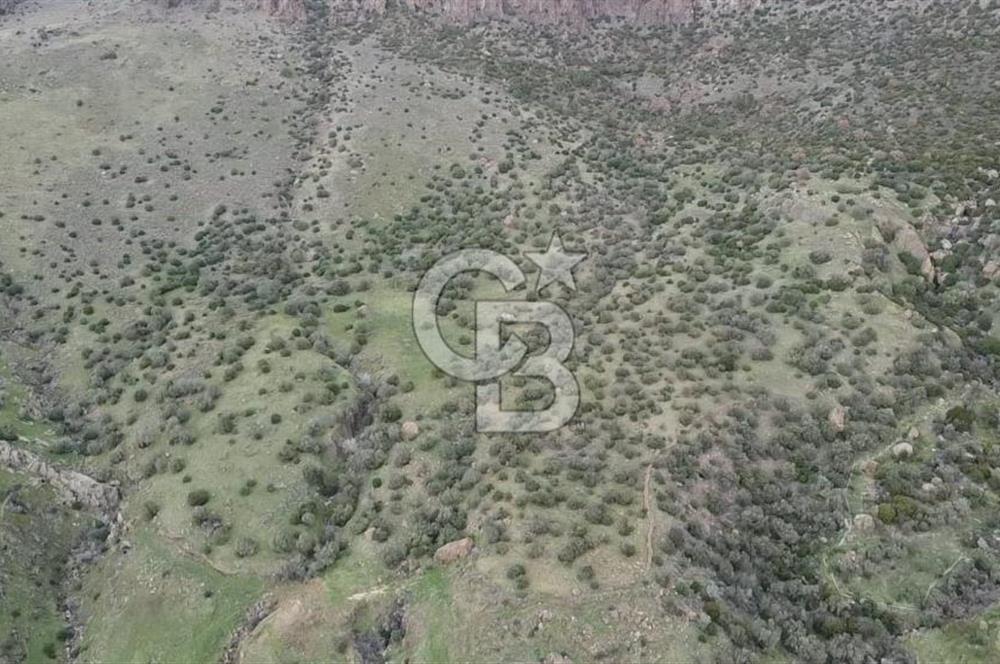 ÇANAKKALE BABAKALE'DE | 33 DÖNÜM DENİZ MANZARALI ZEYTİNLİK