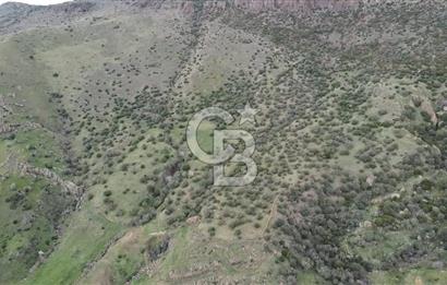 ÇANAKKALE BABAKALE'DE | 33 DÖNÜM DENİZ MANZARALI ZEYTİNLİK