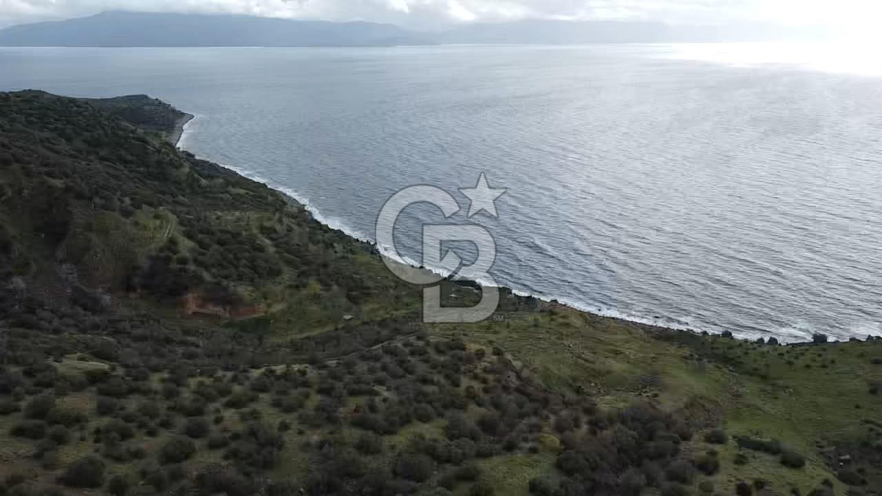 ÇANAKKALE BABAKALE'DE | 33 DÖNÜM DENİZ MANZARALI ZEYTİNLİK