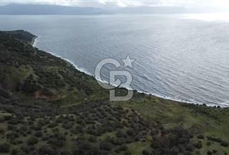 ÇANAKKALE BABAKALE'DE | 33 DÖNÜM DENİZ MANZARALI ZEYTİNLİK - 2 - 330974