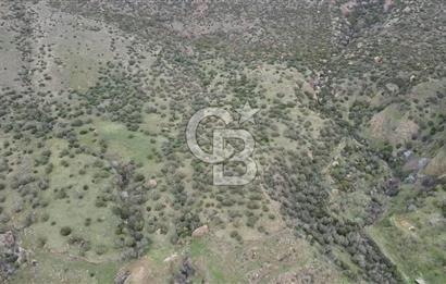 ÇANAKKALE BABAKALE'DE | 33 DÖNÜM DENİZ MANZARALI ZEYTİNLİK