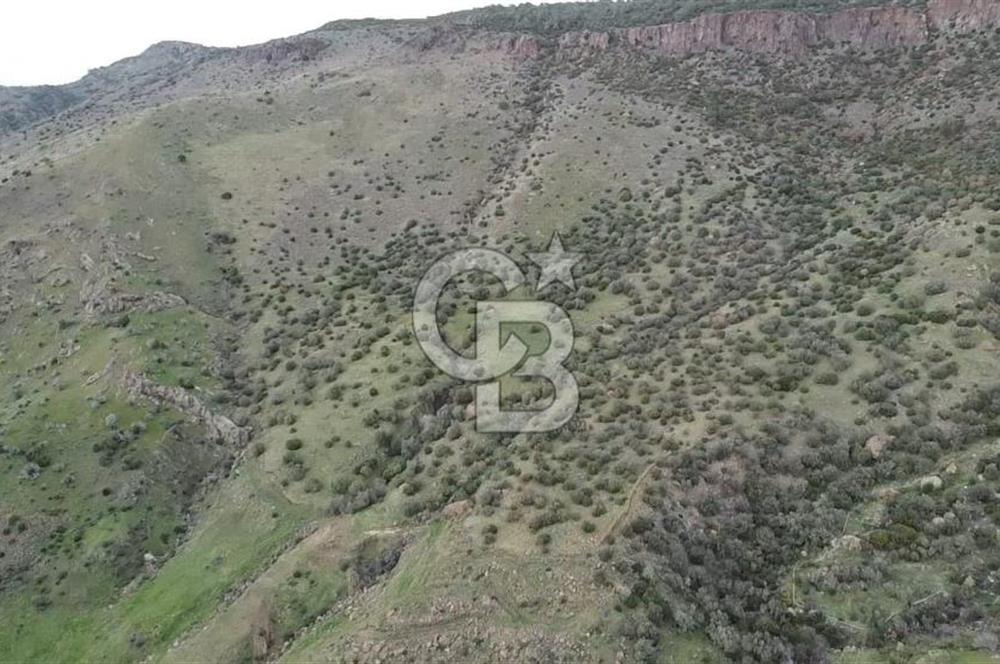 ÇANAKKALE BABAKALE'DE | 33 DÖNÜM DENİZ MANZARALI ZEYTİNLİK