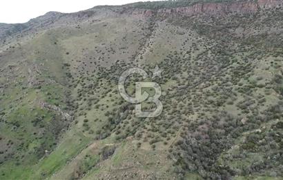 ÇANAKKALE BABAKALE'DE | 33 DÖNÜM DENİZ MANZARALI ZEYTİNLİK