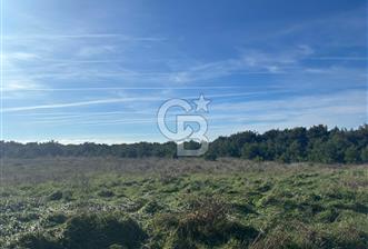 BOZCAADA CUMHURİYET MAH DENİZE YAKIN 14.387 m² SATILIK ARAZİ - 1 - 330946