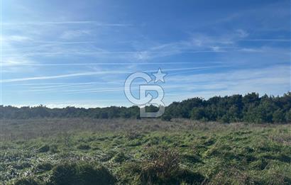 BOZCAADA CUMHURİYET MAH DENİZE YAKIN 14.387 m² SATILIK ARAZİ