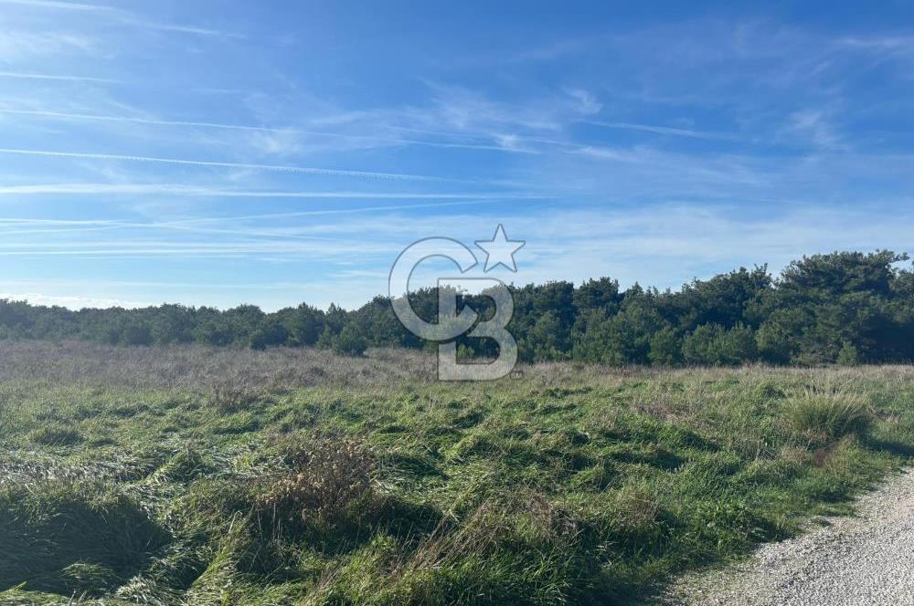 BOZCAADA CUMHURİYET MAH DENİZE YAKIN 14.387 m² SATILIK ARAZİ
