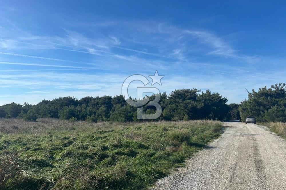 BOZCAADA CUMHURİYET MAH DENİZE YAKIN 14.387 m² SATILIK ARAZİ