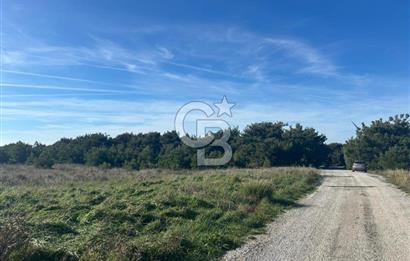 BOZCAADA CUMHURİYET MAH DENİZE YAKIN 14.387 m² SATILIK ARAZİ