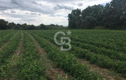 CB BLACK'TAN HARMANLI'DA HERŞEYİ YAPILI BAĞ EVİ