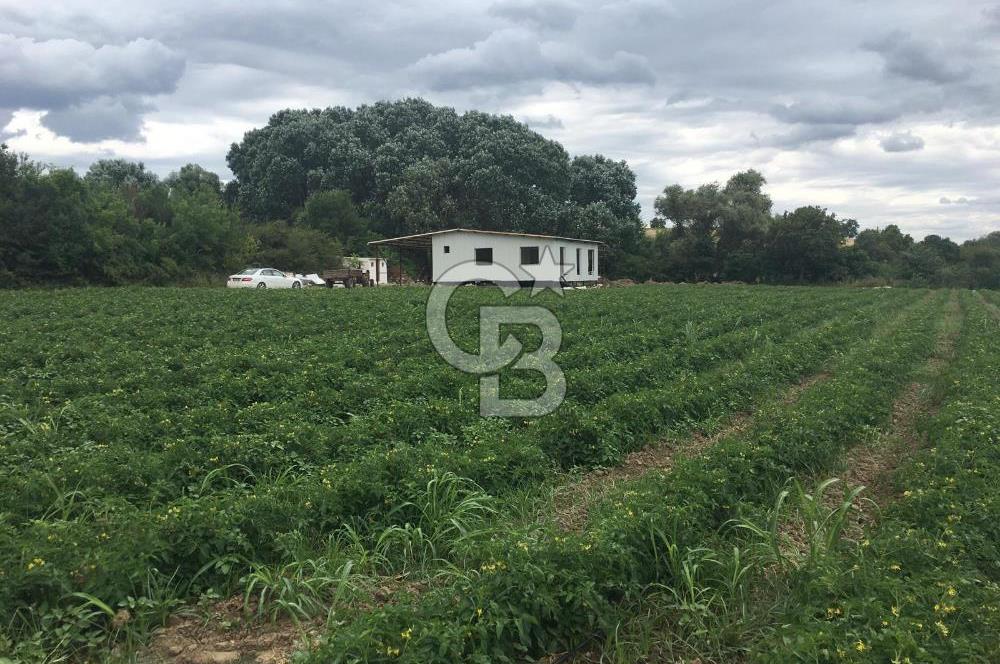 CB BLACK'TAN HARMANLI'DA HERŞEYİ YAPILI BAĞ EVİ