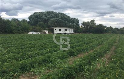 CB BLACK'TAN HARMANLI'DA HERŞEYİ YAPILI BAĞ EVİ