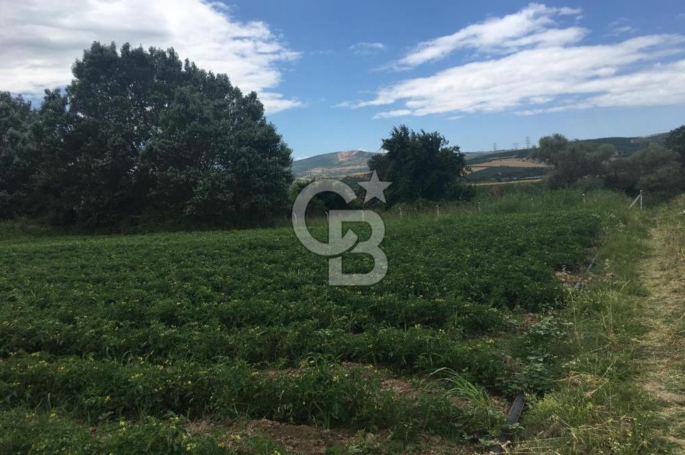 CB BLACK'TAN HARMANLI'DA HERŞEYİ YAPILI BAĞ EVİ