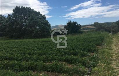 CB BLACK'TAN HARMANLI'DA HERŞEYİ YAPILI BAĞ EVİ