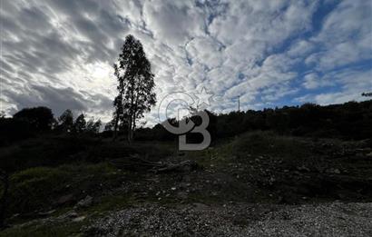 MUSELAND-İzmir Menderes Küner'de 250 m2 Satılık Arazi