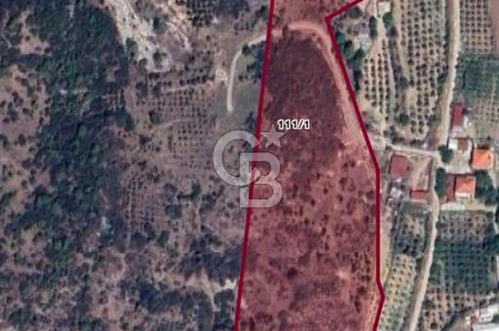 MUSELAND-İzmir Menderes Küner'de 250 m2 Satılık Arazi