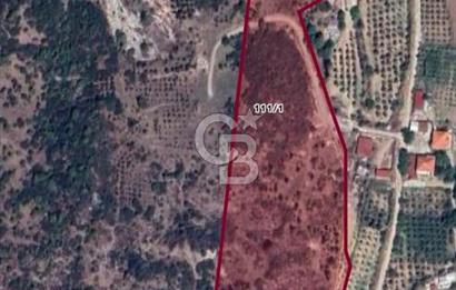 MUSELAND-İzmir Menderes Küner'de 250 m2 Satılık Arazi