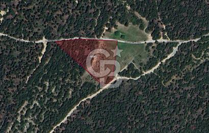 BOZCAADA CUMHURİYET MAH DENİZE YAKIN 14.387 m² SATILIK ARAZİ