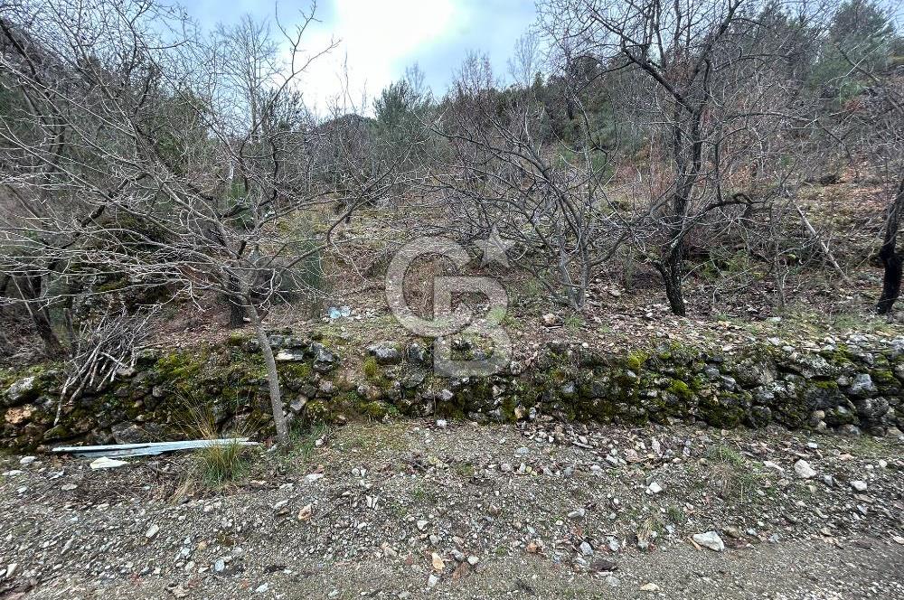 ANTALYA GÜNDOĞMUŞ'TA SATILIK 300 M2 BAHÇE