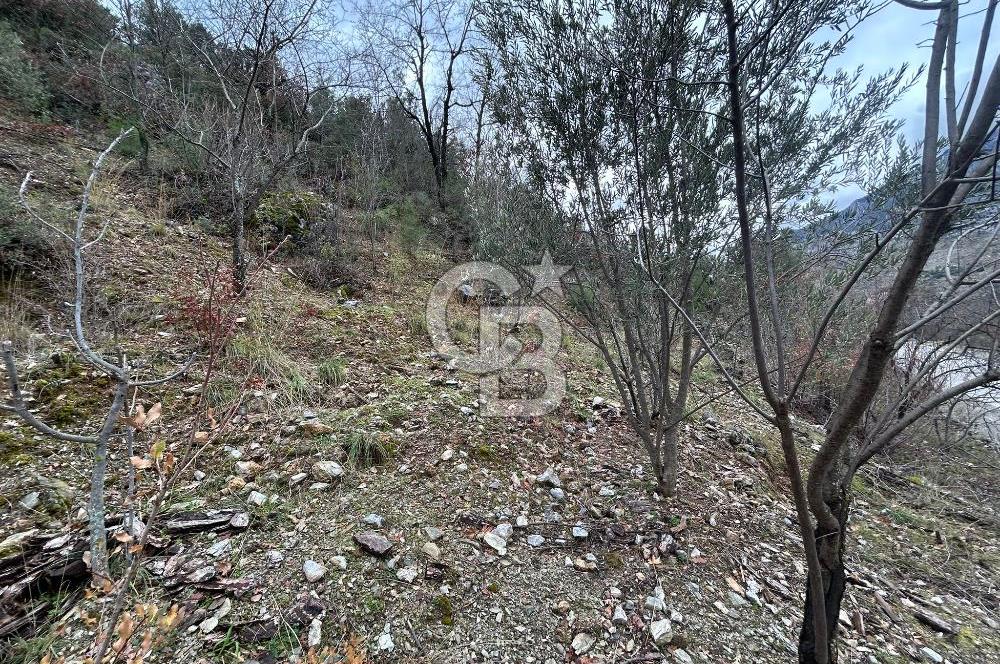 ANTALYA GÜNDOĞMUŞ'TA SATILIK 300 M2 BAHÇE