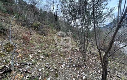 ANTALYA GÜNDOĞMUŞ'TA SATILIK 300 M2 BAHÇE