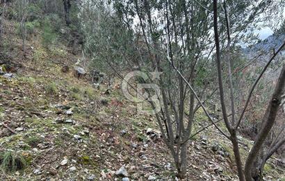 ANTALYA GÜNDOĞMUŞ'TA SATILIK 300 M2 BAHÇE