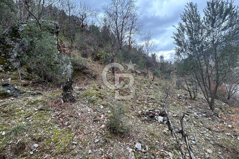 ANTALYA GÜNDOĞMUŞ'TA SATILIK 300 M2 BAHÇE