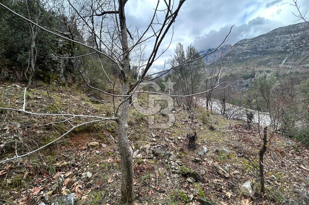 ANTALYA GÜNDOĞMUŞ'TA SATILIK 300 M2 BAHÇE