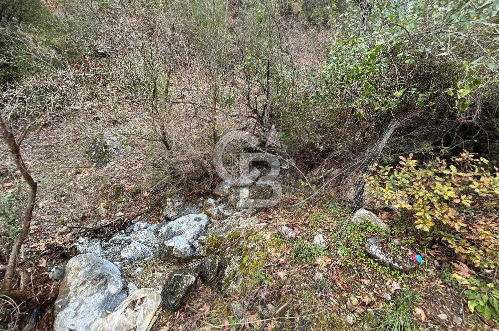 ANTALYA GÜNDOĞMUŞ'TA SATILIK 300 M2 BAHÇE