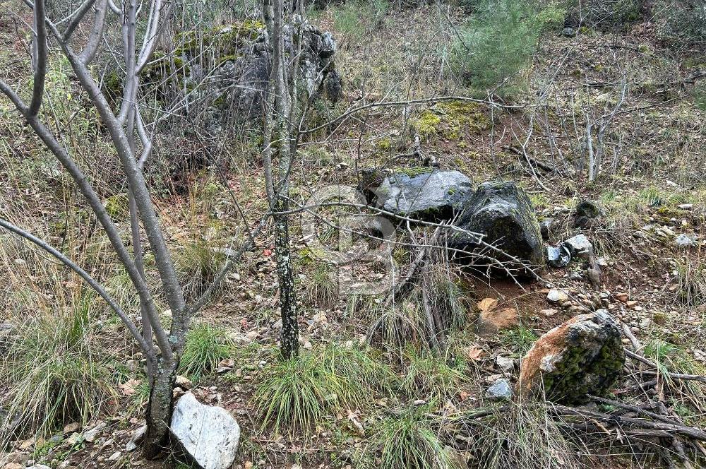 ANTALYA GÜNDOĞMUŞ'TA SATILIK 300 M2 BAHÇE