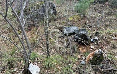 ANTALYA GÜNDOĞMUŞ'TA SATILIK 300 M2 BAHÇE