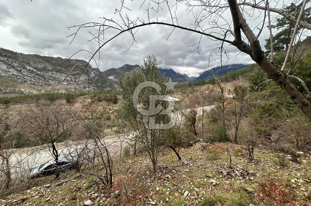 ANTALYA GÜNDOĞMUŞ'TA SATILIK 300 M2 BAHÇE