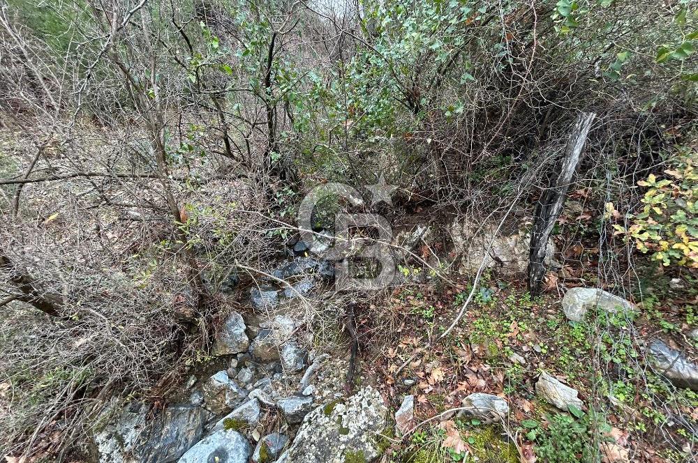 ANTALYA GÜNDOĞMUŞ'TA SATILIK 300 M2 BAHÇE