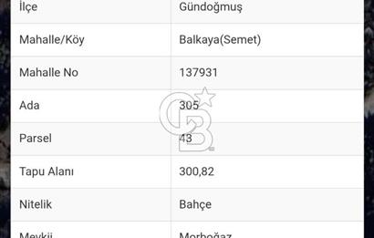 ANTALYA GÜNDOĞMUŞ'TA SATILIK 300 M2 BAHÇE