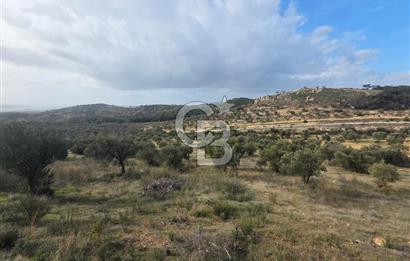 İzmir Aliağa Aşağışakranda Anayola Cephe Zeyitinlik