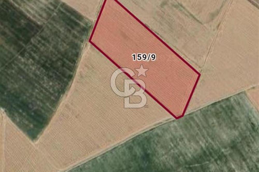 KIRŞEHİR HİRFANLI BARAJINA 1 KM 46000 M2 SATILIK TARLA