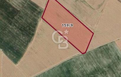 KIRŞEHİR HİRFANLI BARAJINA 1 KM 46000 M2 SATILIK TARLA