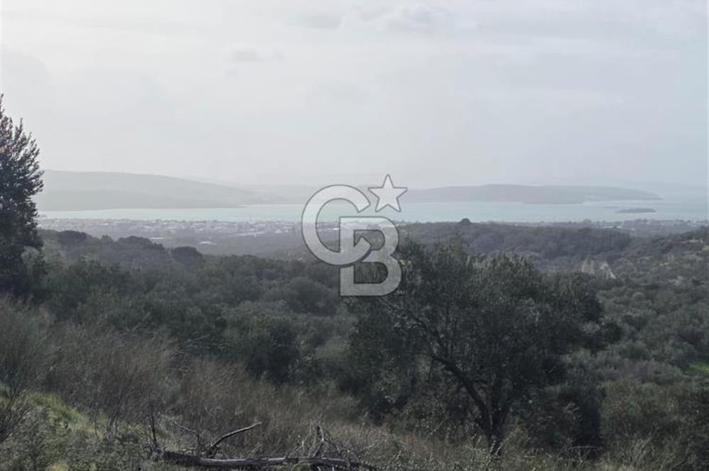 İzmir Aliağa Aşağışakranda Anayola Cephe Zeyitinlik