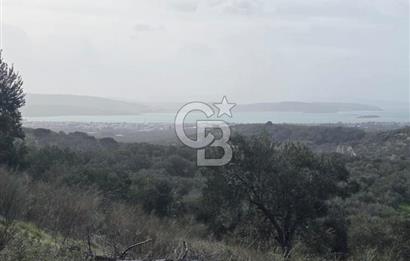 İzmir Aliağa Aşağışakranda Anayola Cephe Zeyitinlik