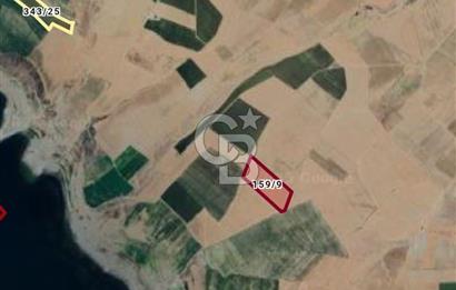 KIRŞEHİR HİRFANLI BARAJINA 1 KM 46000 M2 SATILIK TARLA