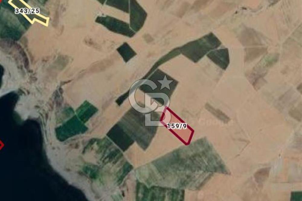 KIRŞEHİR HİRFANLI BARAJINA 1 KM 46000 M2 SATILIK TARLA