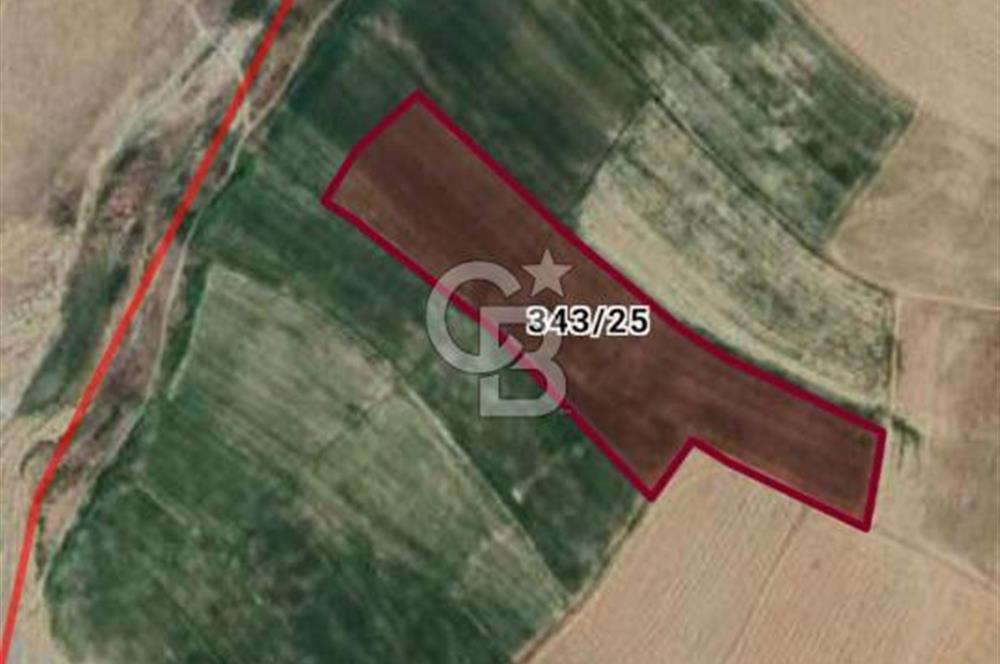 KIRŞEHİR HİRFANLI BARAJI KENARINDA 33590 M2 SULU TARIM TARLA