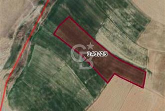 KIRŞEHİR HİRFANLI BARAJI KENARINDA 33590 M2 SULU TARIM TARLA - 1 - 331008