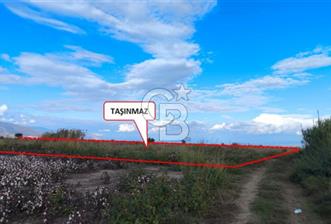 Aydın Söke Güllübahçe'de 17.893 M² Sulu Tarım Arazisi - 1 - 331020