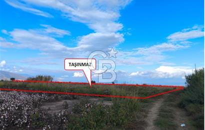 Aydın Söke Güllübahçe'de 17.893 M² Sulu Tarım Arazisi