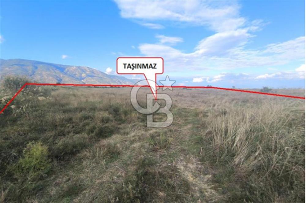 Aydın Söke Güllübahçe'de 17.893 M² Sulu Tarım Arazisi